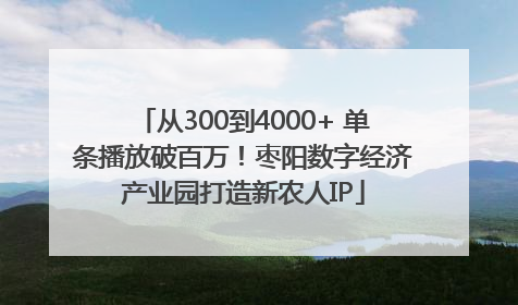 从300到4000+ 单条播放破百万！枣阳数字经济产业园打造新农人IP