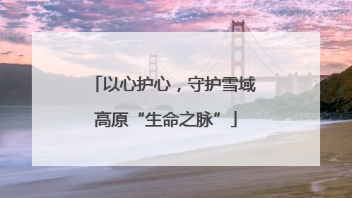 以心护心，守护雪域高原“生命之脉”