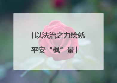 以法治之力绘就平安“枫”景