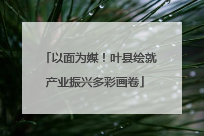 以面为媒！叶县绘就产业振兴多彩画卷