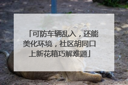 可防车辆乱入，还能美化环境，社区胡同口上新花箱巧解难题