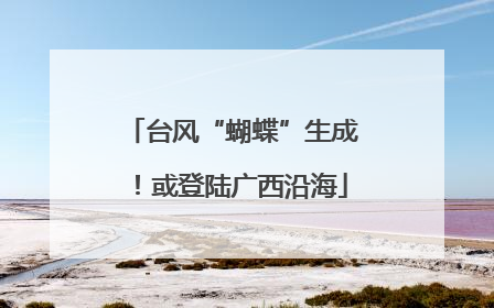 台风“蝴蝶”生成！或登陆广西沿海