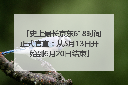 史上最长京东618时间正式官宣：从5月13日开始到6月20日结束