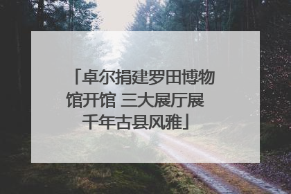 卓尔捐建罗田博物馆开馆 三大展厅展千年古县风雅