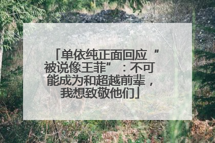 单依纯正面回应“被说像王菲”：不可能成为和超越前辈，我想致敬他们