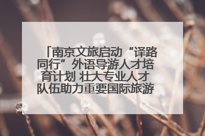 南京文旅启动“译路同行”外语导游人才培育计划 壮大专业人才队伍助力重要国际旅游目的地建设