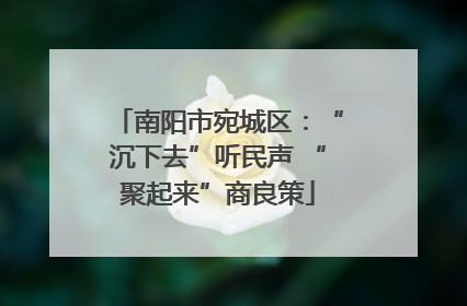 南阳市宛城区：“沉下去”听民声 “聚起来”商良策
