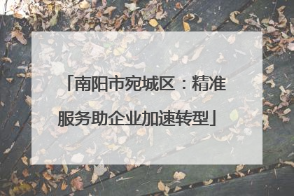 南阳市宛城区：精准服务助企业加速转型