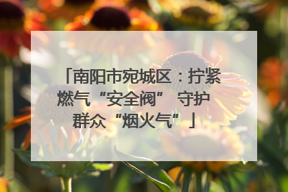 南阳市宛城区：拧紧燃气“安全阀” 守护群众“烟火气”