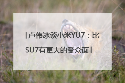 卢伟冰谈小米YU7：比SU7有更大的受众面