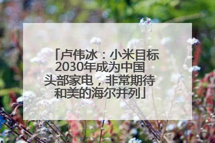 卢伟冰：小米目标2030年成为中国头部家电，非常期待和美的海尔并列