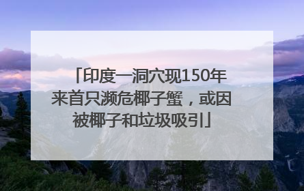 印度一洞穴现150年来首只濒危椰子蟹，或因被椰子和垃圾吸引