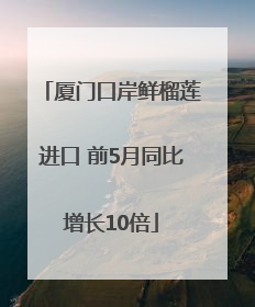 厦门口岸鲜榴莲进口 前5月同比增长10倍