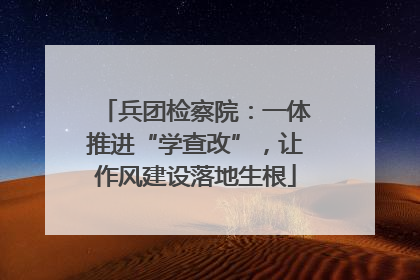 兵团检察院：一体推进“学查改”，让作风建设落地生根