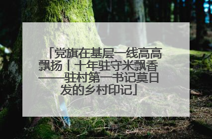 党旗在基层一线高高飘扬丨十年驻守米飘香——驻村第一书记莫日发的乡村印记