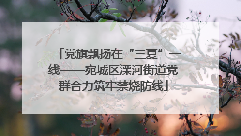党旗飘扬在“三夏”一线——宛城区溧河街道党群合力筑牢禁烧防线