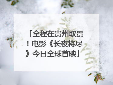 全程在贵州取景！电影《长夜将尽》今日全球首映