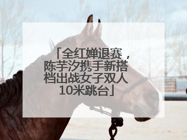 全红婵退赛，陈芋汐携手新搭档出战女子双人10米跳台