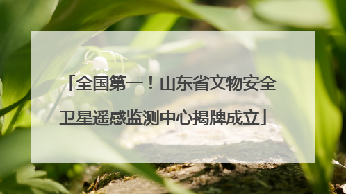 全国第一！山东省文物安全卫星遥感监测中心揭牌成立