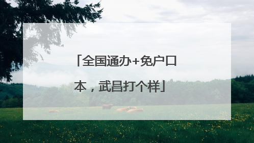 全国通办+免户口本，武昌打个样