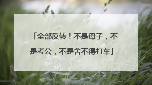 全部反转！不是母子，不是考公，不是舍不得打车