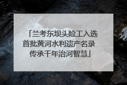 兰考东坝头险工入选首批黄河水利遗产名录 传承千年治河智慧