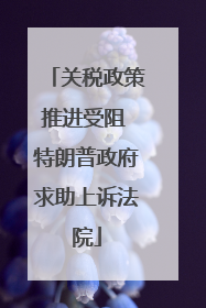 关税政策推进受阻 特朗普政府求助上诉法院