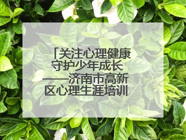 关注心理健康 守护少年成长——济南市高新区心理生涯培训奥龙小学专场