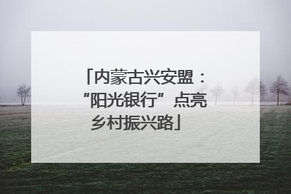 内蒙古兴安盟：“阳光银行”点亮乡村振兴路