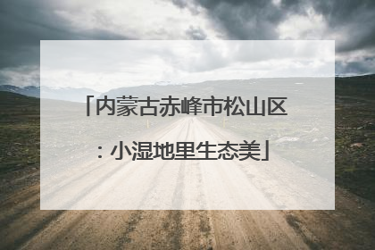 内蒙古赤峰市松山区：小湿地里生态美