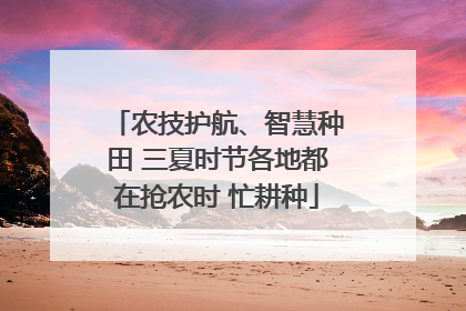 农技护航、智慧种田 三夏时节各地都在抢农时 忙耕种