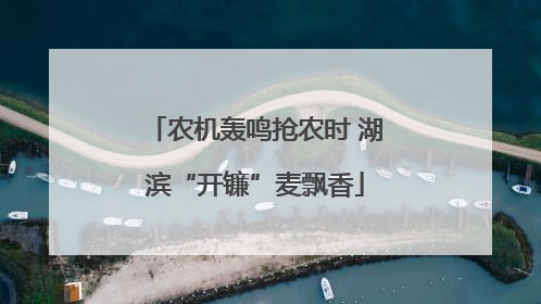 农机轰鸣抢农时 湖滨“开镰”麦飘香