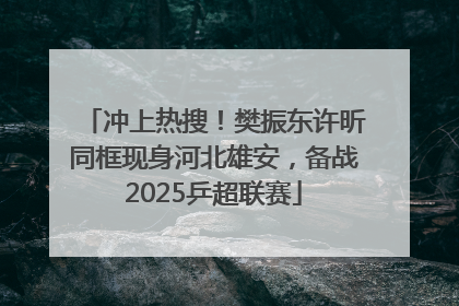 冲上热搜！樊振东许昕同框现身河北雄安，备战2025乒超联赛