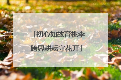 初心如故育桃李 跨界耕耘守花开