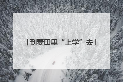 到麦田里“上学”去