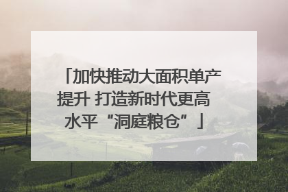 加快推动大面积单产提升 打造新时代更高水平“洞庭粮仓”