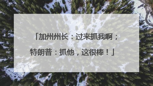 加州州长：过来抓我啊；特朗普：抓他，这很棒！