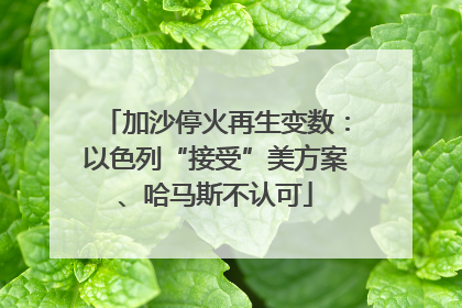 加沙停火再生变数：以色列“接受”美方案、哈马斯不认可