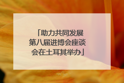 助力共同发展 第八届进博会座谈会在土耳其举办