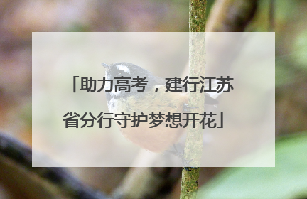 助力高考，建行江苏省分行守护梦想开花
