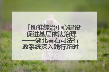 助推综治中心建设 促进基层依法治理——湖北黄石司法行政系统深入践行新时代枫桥经验