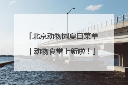 北京动物园夏日菜单丨动物食堂上新啦！