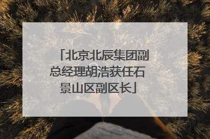北京北辰集团副总经理胡浩获任石景山区副区长