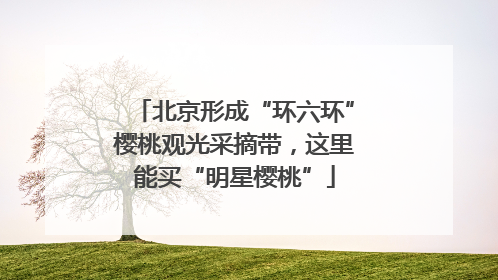 北京形成“环六环”樱桃观光采摘带，这里能买“明星樱桃”