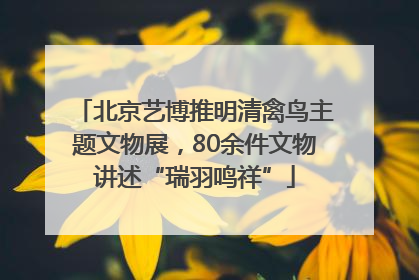 北京艺博推明清禽鸟主题文物展，80余件文物讲述“瑞羽鸣祥”