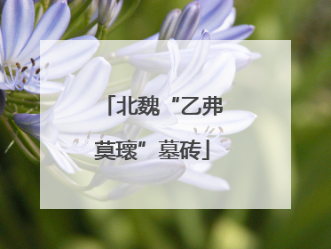 北魏“乙弗莫瓌”墓砖