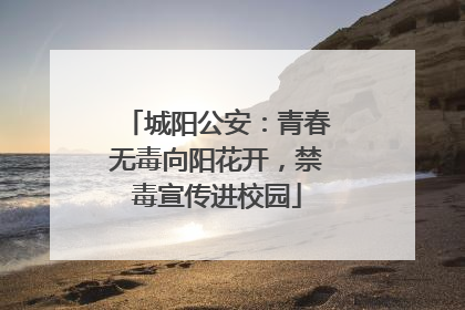 城阳公安：青春无毒向阳花开，禁毒宣传进校园