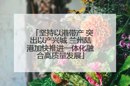坚持以港带产 突出以产兴城 兰州陆港加快推进一体化融合高质量发展