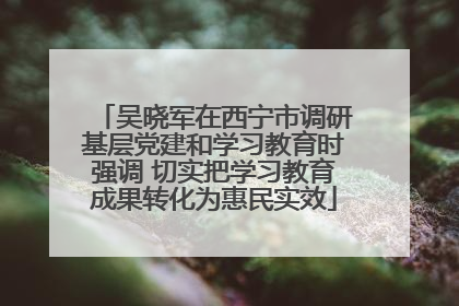 吴晓军在西宁市调研基层党建和学习教育时强调 切实把学习教育成果转化为惠民实效