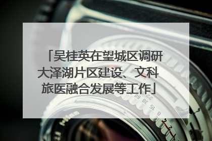 吴桂英在望城区调研大泽湖片区建设、文科旅医融合发展等工作